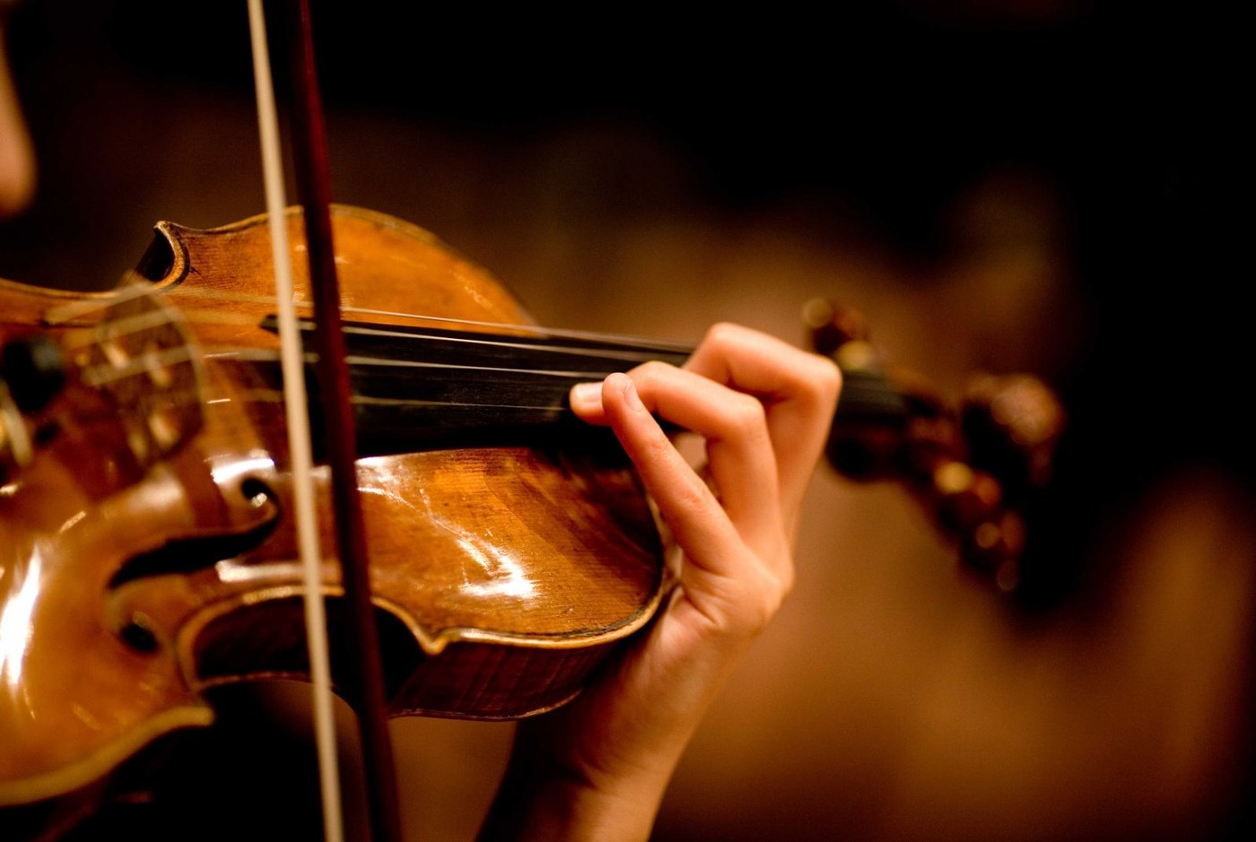 Violin — bé học đàn violin